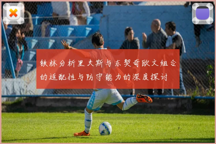 铁林分析里夫斯与东契奇欧文组合的适配性与防守能力的深度探讨